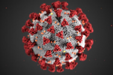 Grafika przedstawiająca koronawirusa